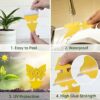 12PCS Fruit Fly Trap,Fungus Gnat Sticky Traps,Fruit Fly Killer,Fruit Fly Traps Indoor,Effectiveness catches and eliminate straps fruit flies and