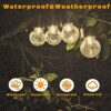YihuiKo Solar Crackle Globe Hanging Ball Lights - 4 Pack Glass Decorative Garden Lights Waterproof Solar Lanterns for Yard, Patio, Fence, Tree, o