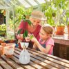 YWNYT Avocado Seed Starter Vase, 2Pcs Avocado Seed Sprout Starter Avocado Vase Pot for Growing Planter, Avocado Tree Growing Kit Glass Vases Seed