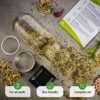 1 Pack Sprouting Jar Kit | Complete Growing Set for Making Sprouts | Easy Organic Sprouts at Home | Indoor Seed Sprouter | Sprout Starter Kit | M