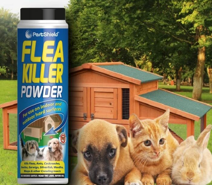6 x Flea Killer Powder Indoor