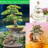 WUHECOME 3 Rolls Bonsai Training Wire 1.0 mm/ 1.5 mm/ 2.0 mm Aluminium Plant Training Wire Tree Training Wires Kit Black Garden Wire for Shaping