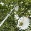 4.2M Apple Picker with Telescopic Handle, Fruit Picker, Fruit Picker Tool with Lightweight Stainless Steel Connecting Pole and Fabric Bag, Fruit