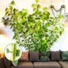 120pcs Self-Adhesive Hook Plant Vine Traction, Plant Climbing Wall Fixture Clips,Climbing Plant Support Clips Vine Plant Climbing Wall Fixer for