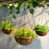 2 Pcs Hanging Basket Liner 14 Inch Outdoor Planter Liners Round Coco Fiber Liner Pre-Formed Replacement Basket Shaped Liner Natural Coconut Fiber