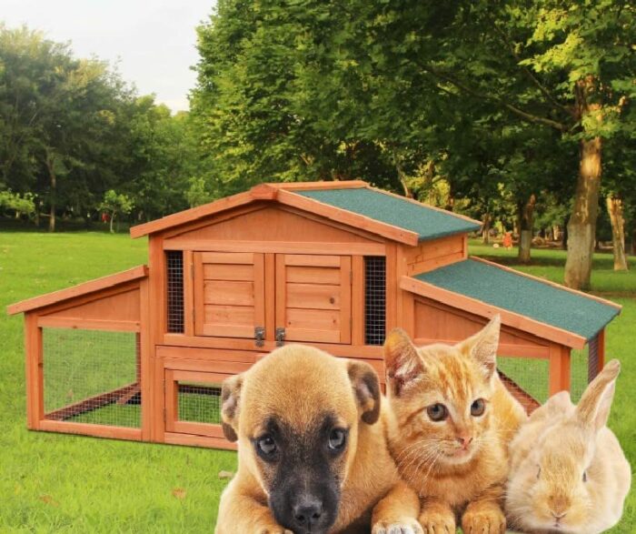 6 x Flea Killer Powder Indoor