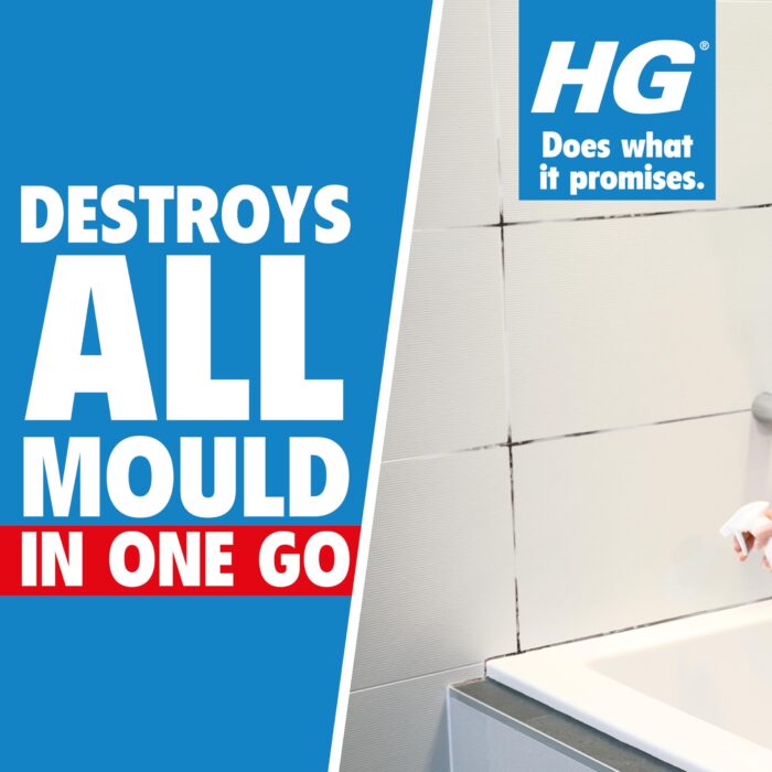 HG Mould Remover Foam Spray