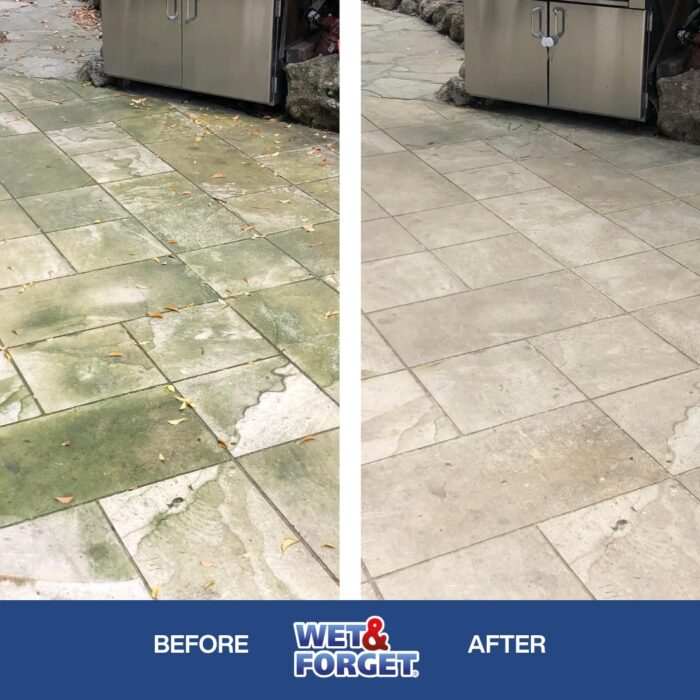 Wet Forget Mould, Lichen Algae Remover